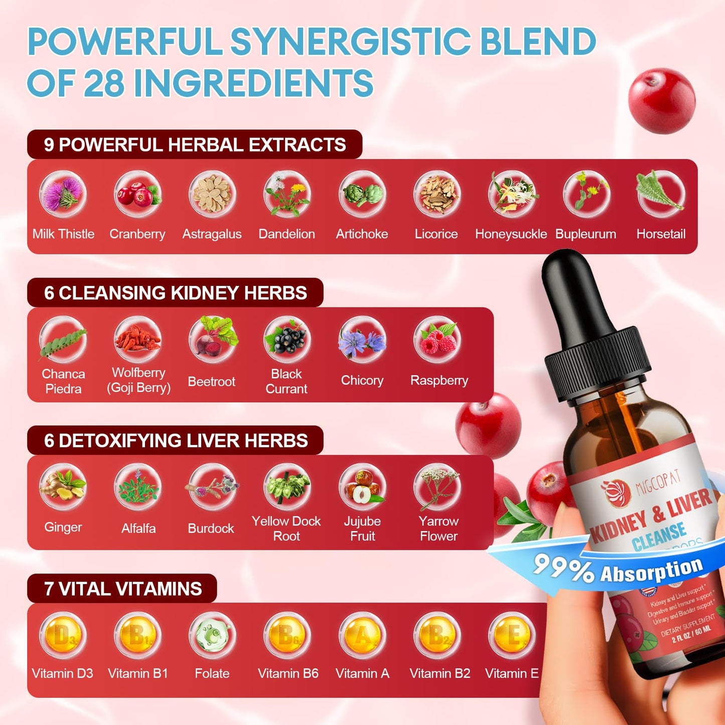 Kidney & Liver Cleanse Detox & Repair Drops – Cranberry, Milk Thistle & Artichoke (60ml) | Natural Herbal Supplement