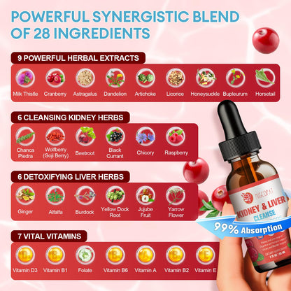 Kidney & Liver Cleanse Detox & Repair Drops – Cranberry, Milk Thistle & Artichoke (60ml) | Natural Herbal Supplement