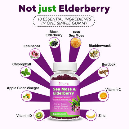 2 Pack Elderberry Gummies with Sea Moss – Extra Strength Immune Support, Vitamin C & Zinc, Blueberry Flavor, 120 Count