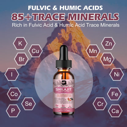 2Pack Shilajit Resin Liquid Drops | Shilajit Complex for Men Women with Ashwagandha, Turmeric, Ginseng, Chaga | 85+ Trace Minerals & Fulvic Acid | Boost Immunity & Energy - Non-GMO