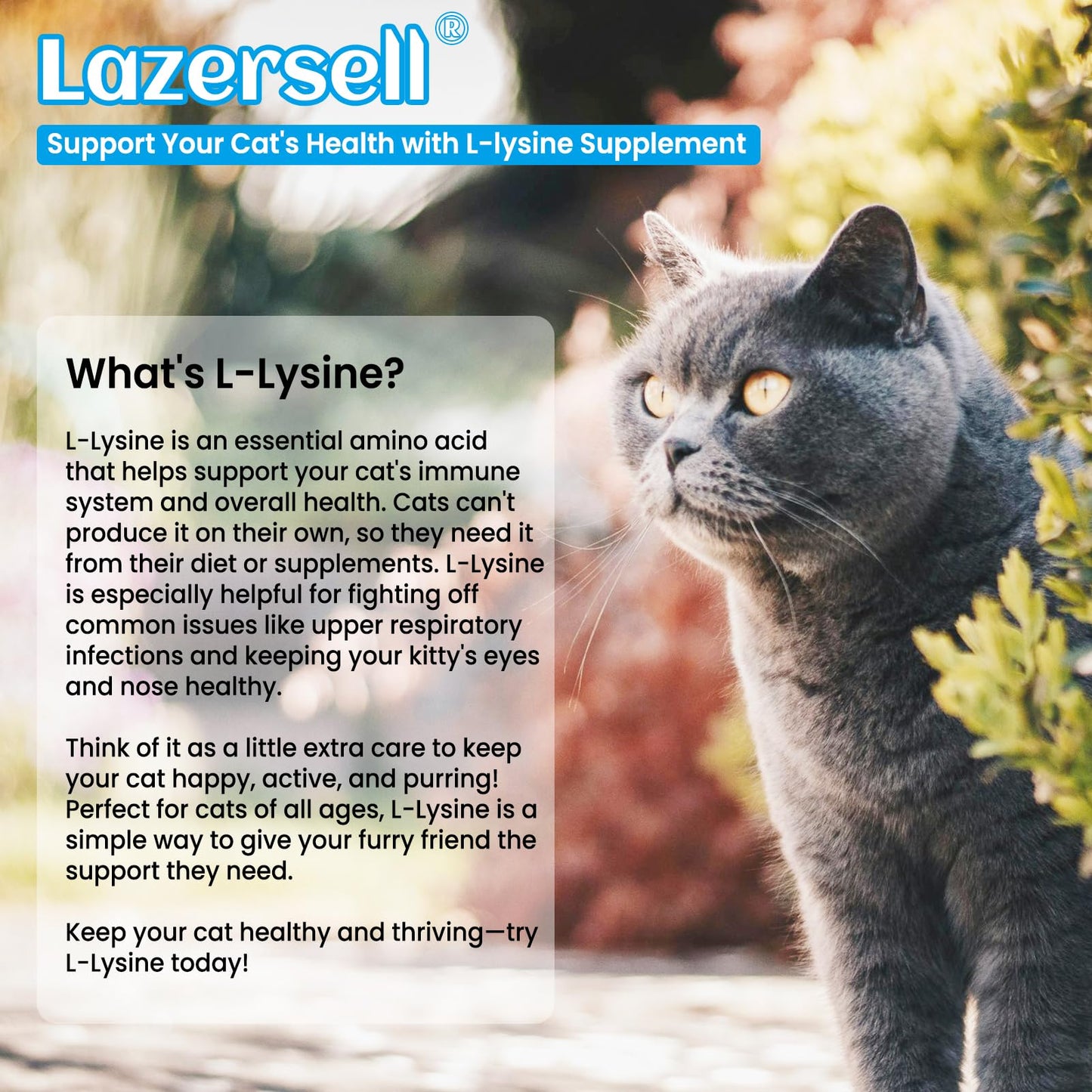 2PCS Lysine for Cats – Immune Support, L-Lysine Supplement for Feline Respiratory Health
