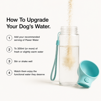Pawer Water Mobility & Glow | Dog Joint Support (12 Sticks)