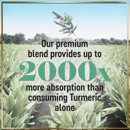 Turmeric Curcumin 95% Curcuminoids, 1750mg with BioPerine | Vegan, Non-GMO, 360 Capsules | USA Bottled