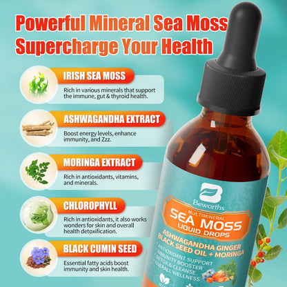 3Pack Sea Moss Drops – Irish Sea Moss Chlorophyll Liquid with Black Seed Oil & Immune Support