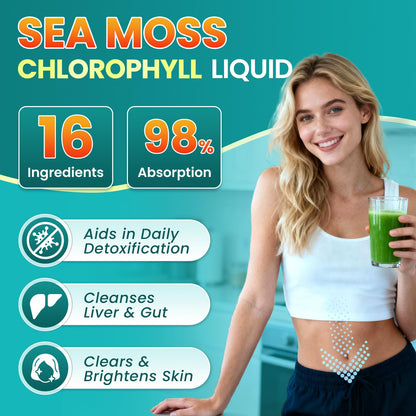3Pack Sea Moss Drops – Irish Sea Moss Chlorophyll Liquid with Black Seed Oil & Immune Support