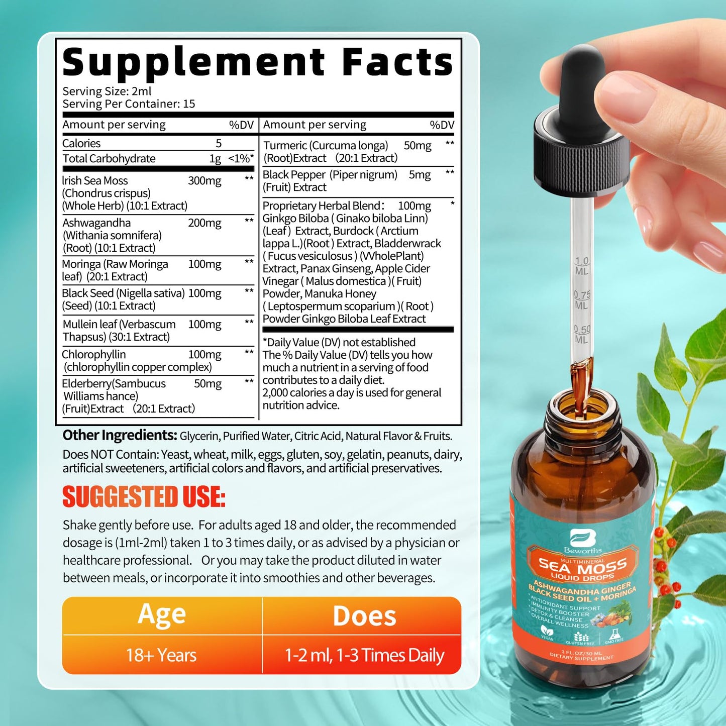 3Pack Sea Moss Drops – Irish Sea Moss Chlorophyll Liquid with Black Seed Oil & Immune Support