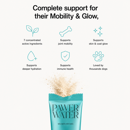 Pawer Water Mobility & Glow | Dog Joint Support (12 Sticks)