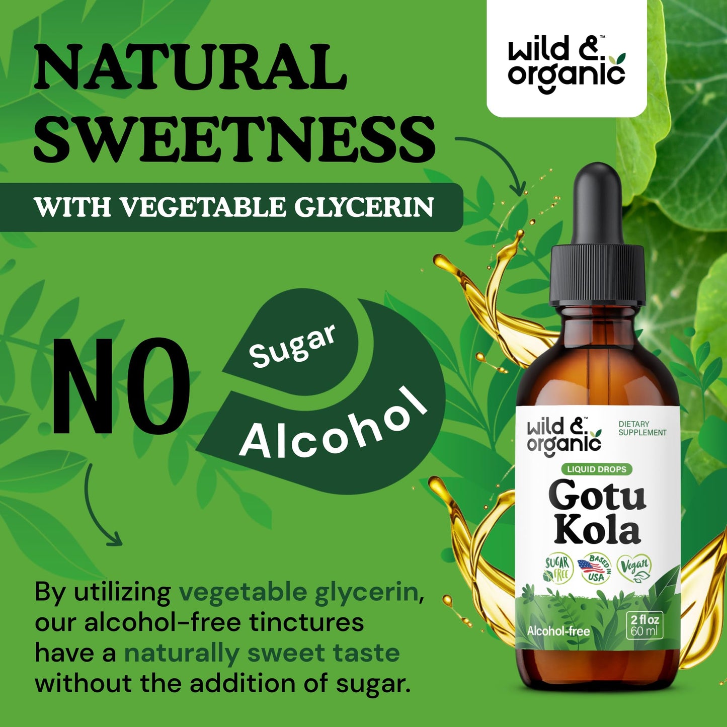 Wild & Organic Gotu Kola Tincture - Brain Support, Gotu Kola Liquid Extract Drops - Vegan, Sugar & Alcohol-Free 2 fl oz