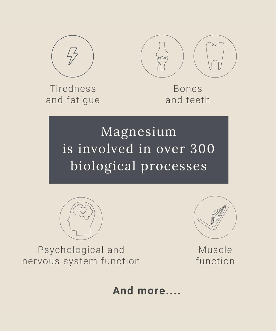 GP Nutrition Magnesium