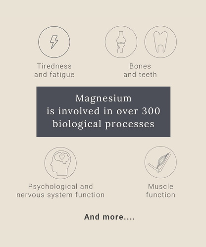 GP Nutrition Magnesium