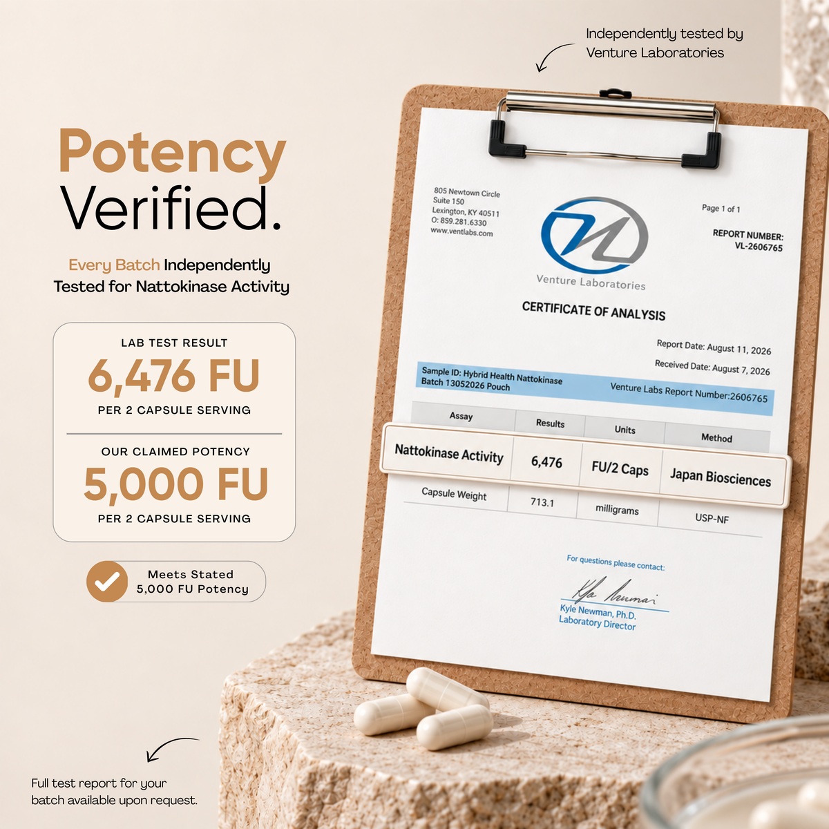 Nattokinase Hybrid Health