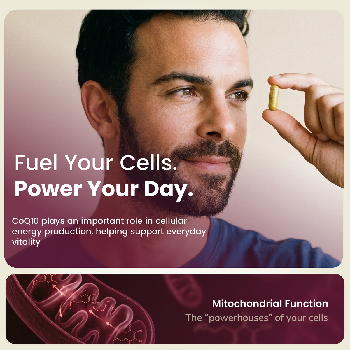 CoQ10 Ubiquinone Hybrid Health
