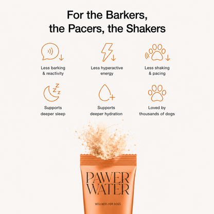 Pawer Water Calming (12 Sticks Pouch)