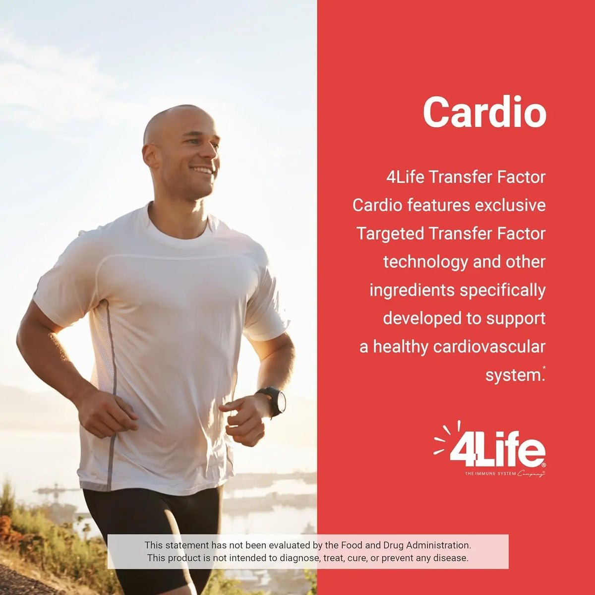 4Life Transfer Factor Cardio - Targeted System Support, 90 Capsules BritishVita | Premium UK Vitamins & Wellness Supplements