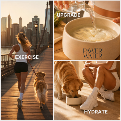 Pawer Water Mobility & Glow | Dog Joint Support (12 Sticks)
