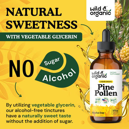Wild & Organic Pine Pollen Tincture – Vegan, Alcohol-Free, 4 oz