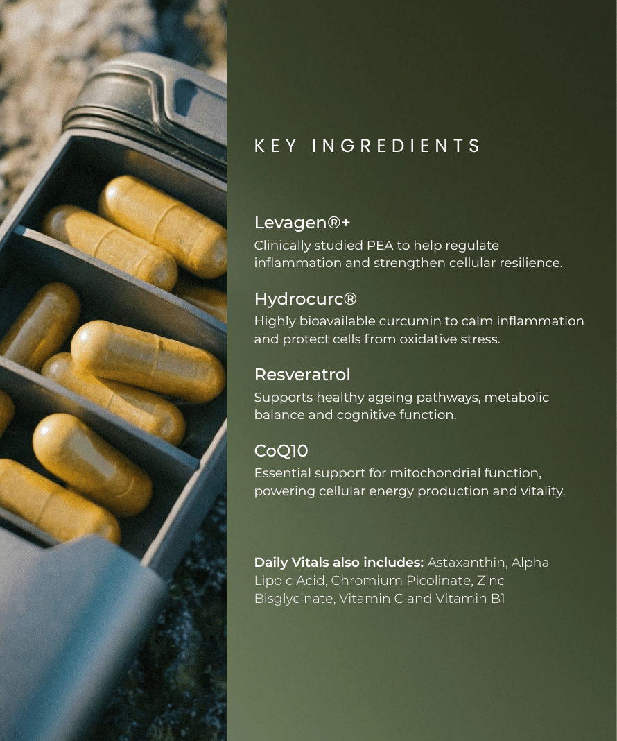Aevum Daily Vitals: Essential Longevity & Cellular Health Complex