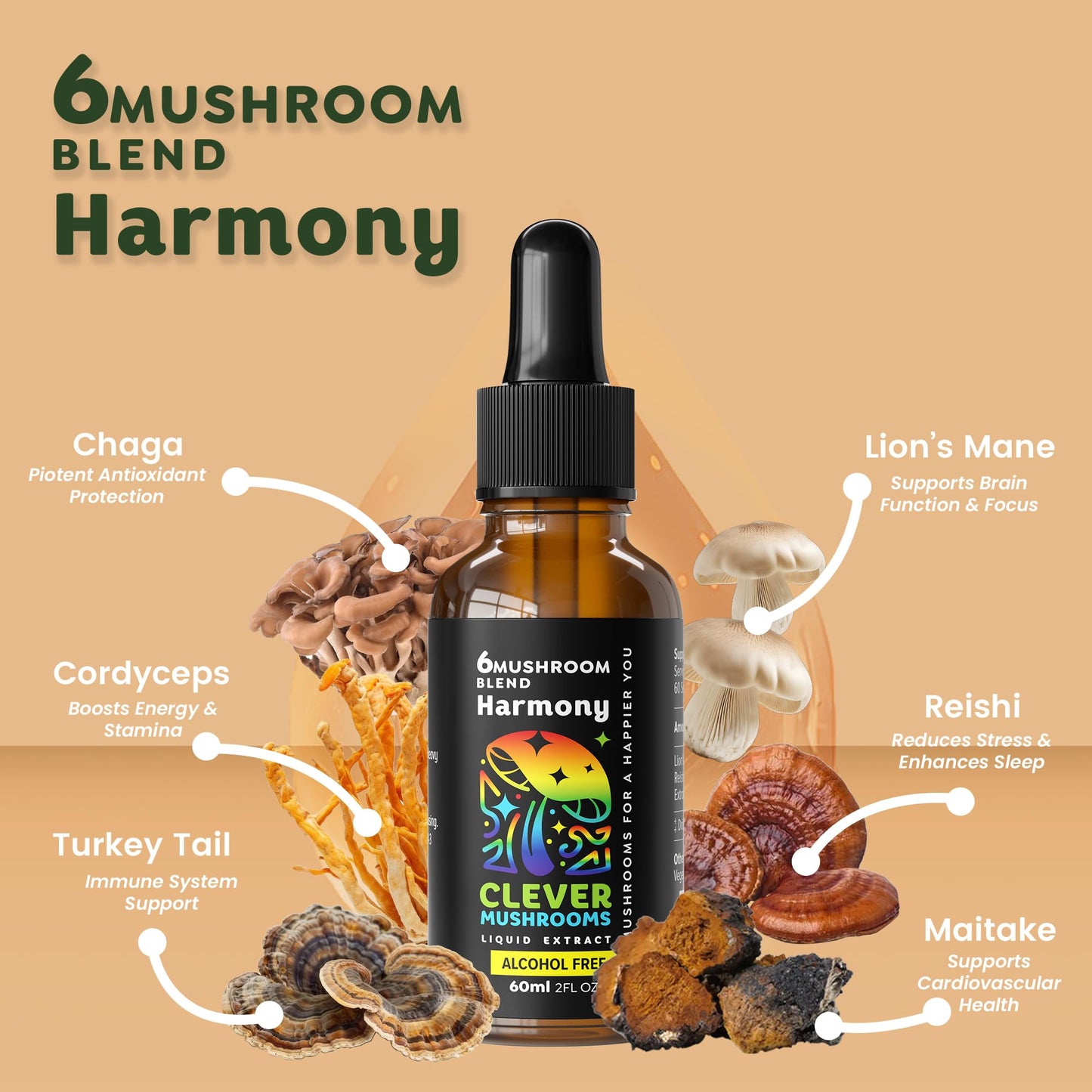 6 Blend Mushroom Liquid Extract – Alcohol-Free, US-Grown (1 fl oz)