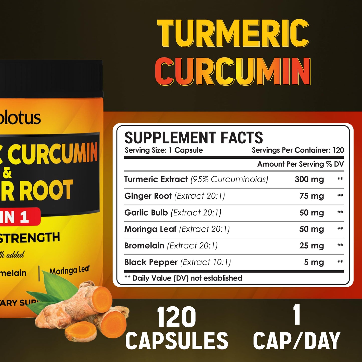 6 in 1 Turmeric Curcumin + Ginger Capsules - 95% Curcuminoids, Black Pepper | 120 Capsules