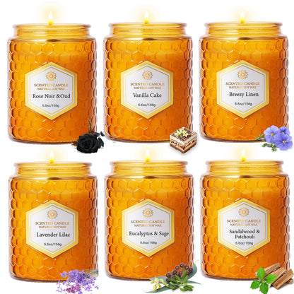 6 Pack Natural Soy Wax Jar Candles – 33 oz Each, 240 Hours Total, Aromatherapy Gift Set for Women (Amber)