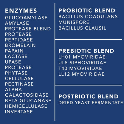 4-in-1 Prebiotic Probiotic & Postbiotic Gut Health - 60 Capsules (Women & Men)