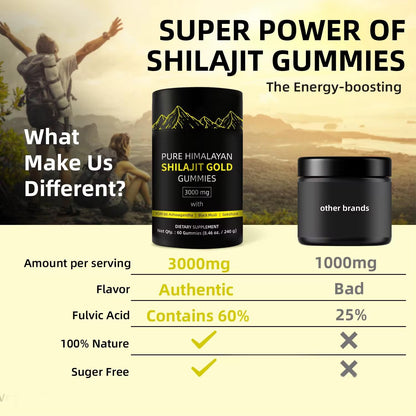 8-in-1 Himalayan Shilajit Gummies (60 Count) | Natural Energy & Vitality