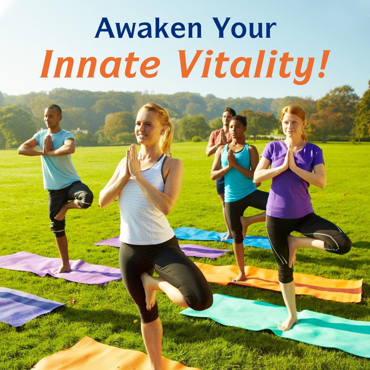Innate Vitality D3 K2 Softgels — 10,000 IU D3 + 200 mcg MK-7 | 60 Softgels