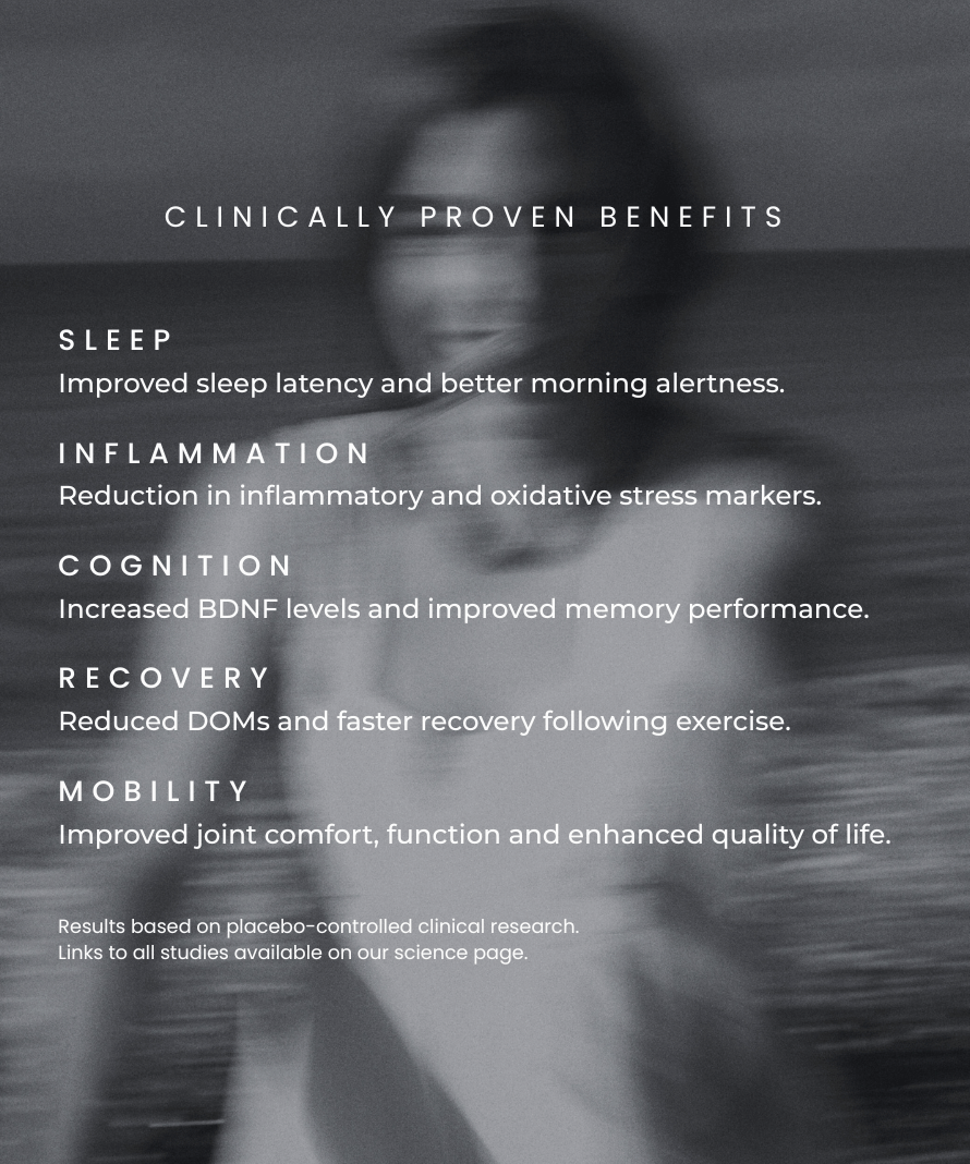 Aevum Daily Vitals: Essential Longevity & Cellular Health Complex