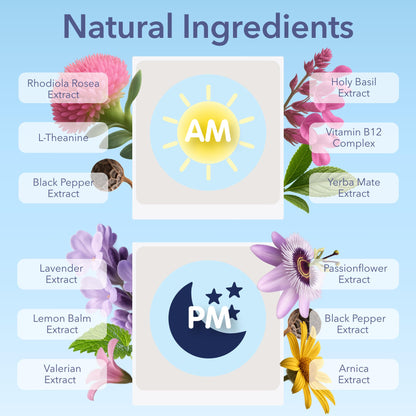 Jet Lag AM & PM Travel Patches – Natural Energy, Focus & Restful Sleep (8 Topical Patches)