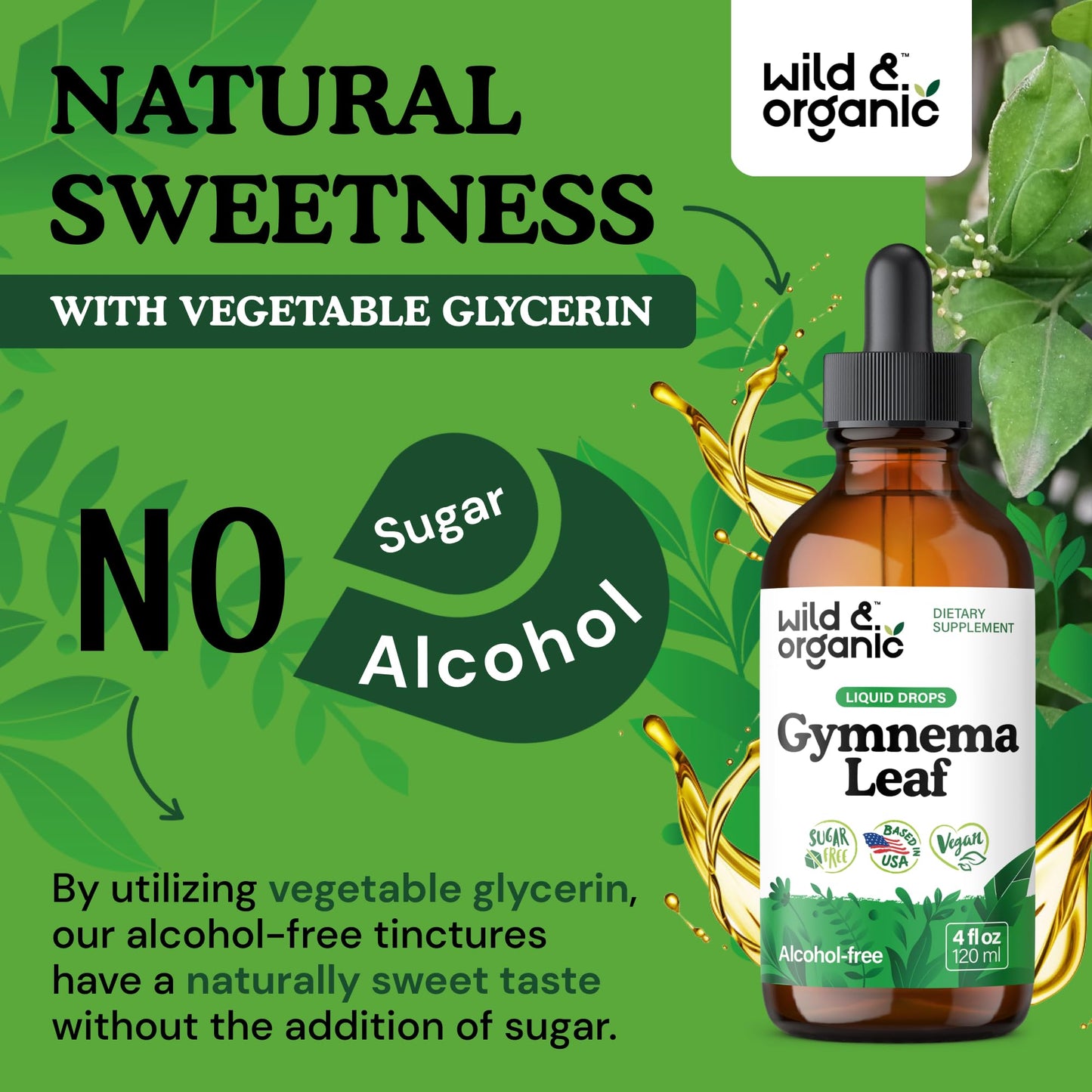 Wild & Organic Gymnema Sylvestre Extract Drops – Sugar-Free, Alcohol-Free, Vegan (2 x 4 oz)