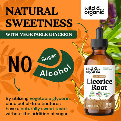 Wild & Organic Licorice Root Tincture - Digestive, Lung & Skin Support (4 oz)