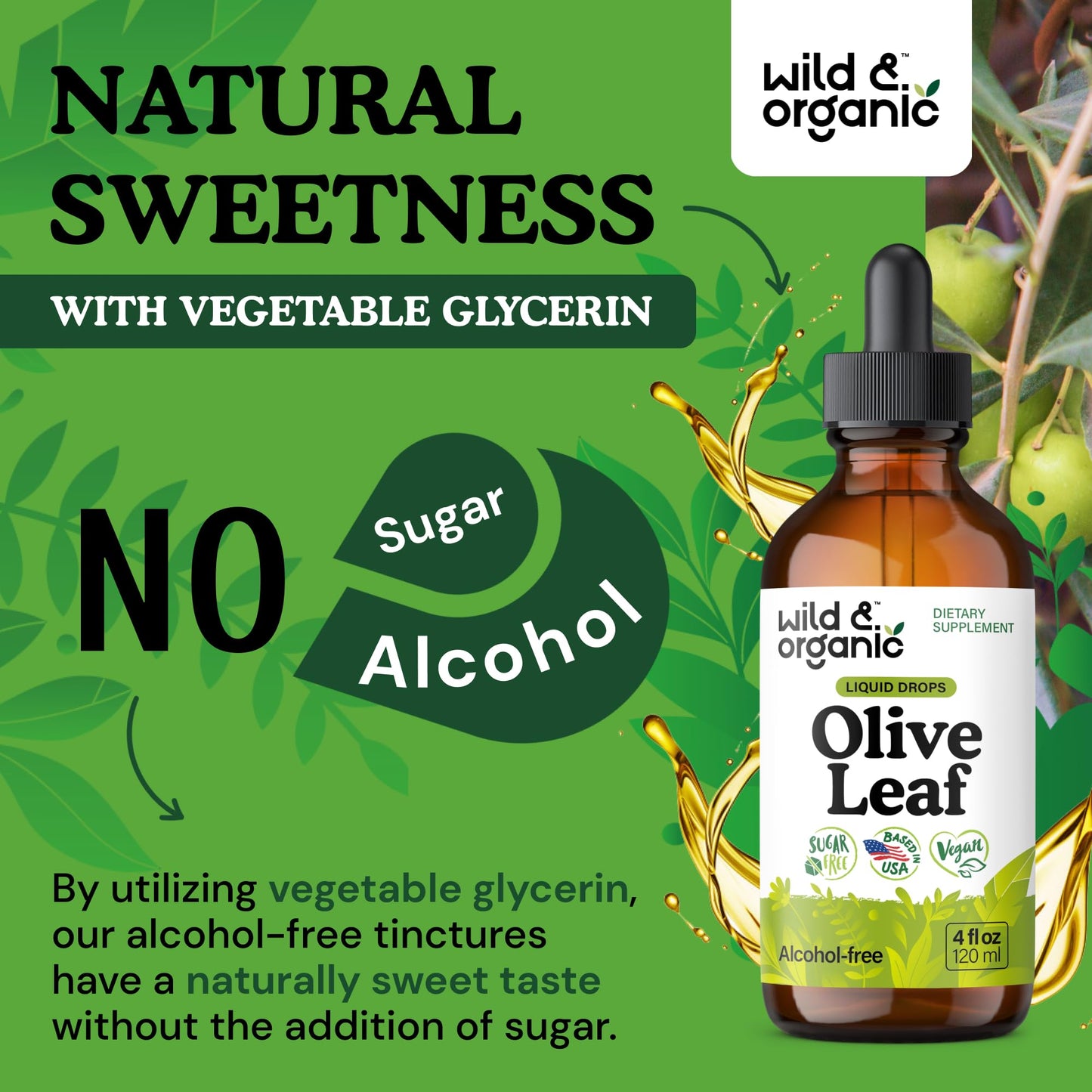 Wild & Organic Olive Leaf Liquid Extract – Immune Support | Vegan, Alcohol-Free | 4 fl oz