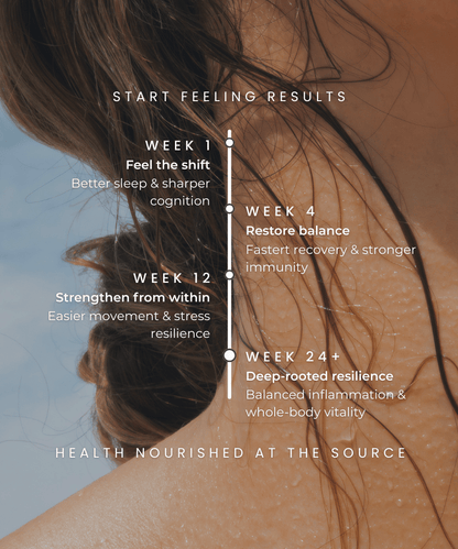 Aevum Daily Vitals: Essential Longevity & Cellular Health Complex