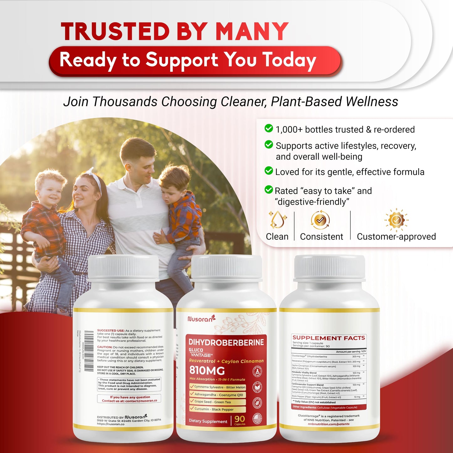Dihydroberberine – Super Berberine 810mg with GlucoVantage | 5X Absorption | Made in USA | 90 Count