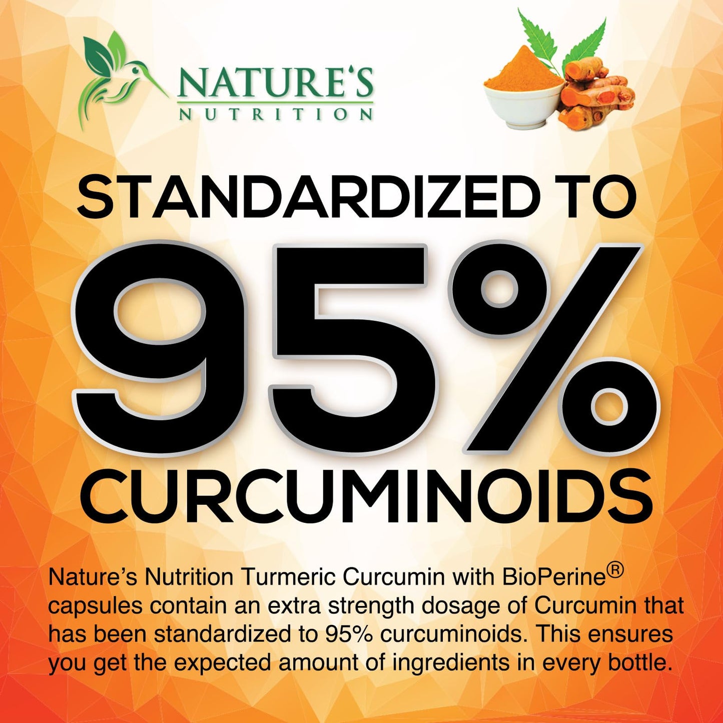 Turmeric Curcumin 1950mg with BioPerine - 95% Curcuminoids | Made in USA | 60 Capsules