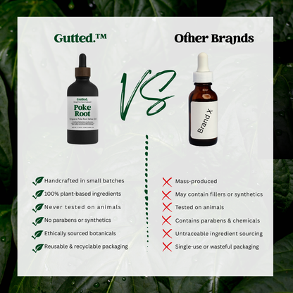 Organic Poke Root Oil – 20ml, 50ml & 100ml | Wild-Infused Oil for Lymphatic Detox Gutted.