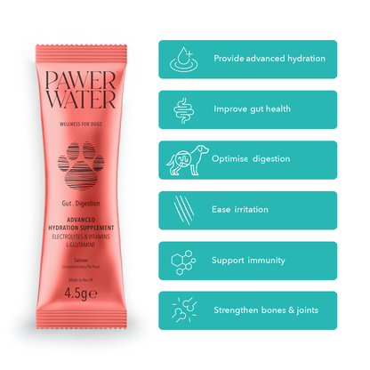 Best Value : Ultimate Wellness Bundle