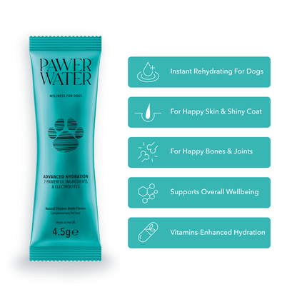 Our Most Loved Hydration Collagen Essentials