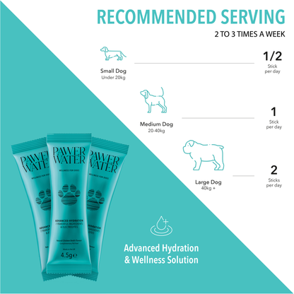 Our Most Loved Hydration Collagen Essentials