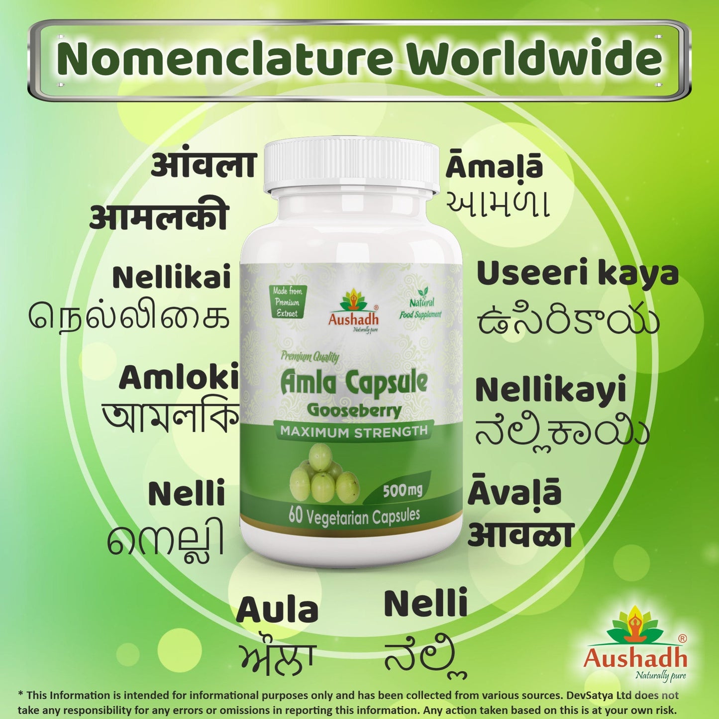 Aushadh Amla Capsules (Indian Gooseberry, Amalaki) Antioxidant Wellness Support - Vegan, Gluten Free, Non-GMO, 60 Capsules