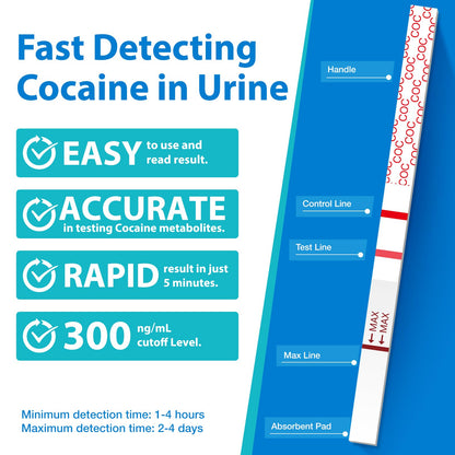Areta Cocaine Test Strip – 10 Pack, 300 ng/mL, Instant 5 Min Results | ASCOC-114