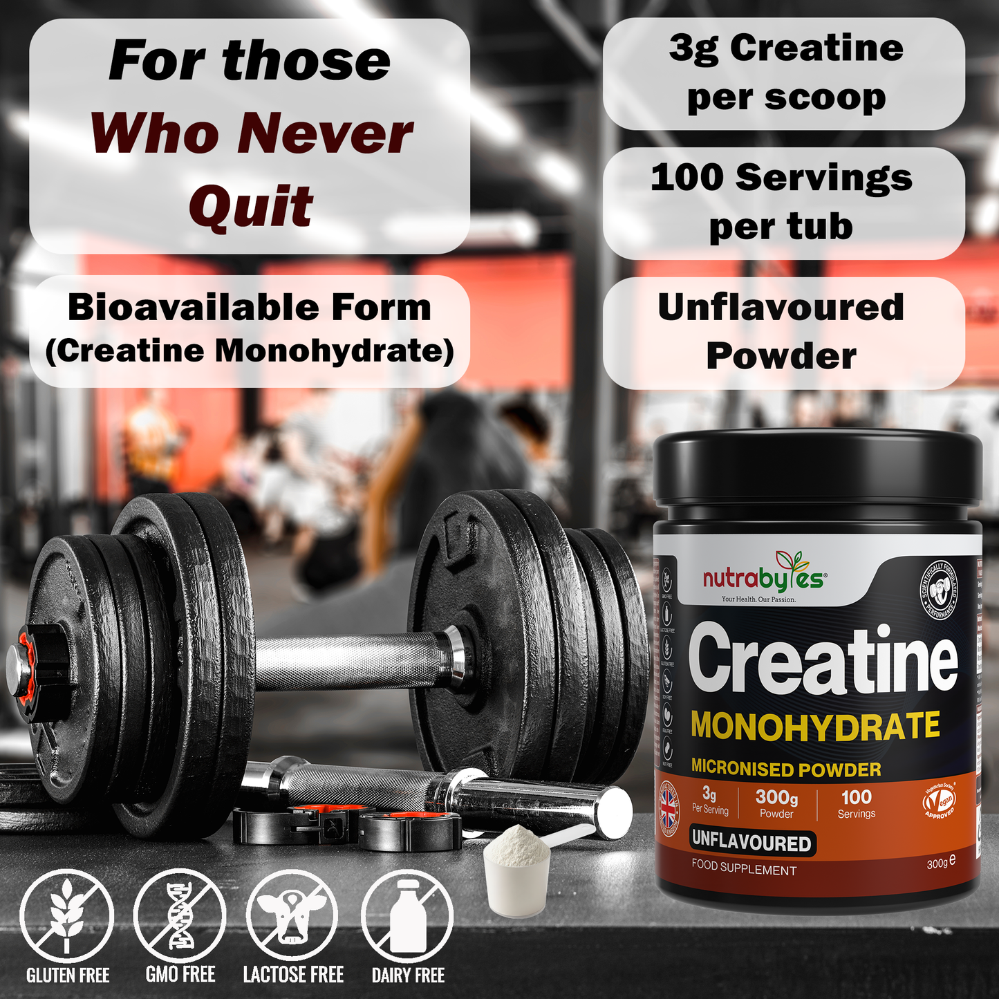 Creatine Monohydrate Powder 300g (100 Servings) | Pure Micronised Creatine Powder Supplement for Men & Women, Pre & Post Workout Strength, Muscle Growth & Recovery, Vegan | Unflavoured