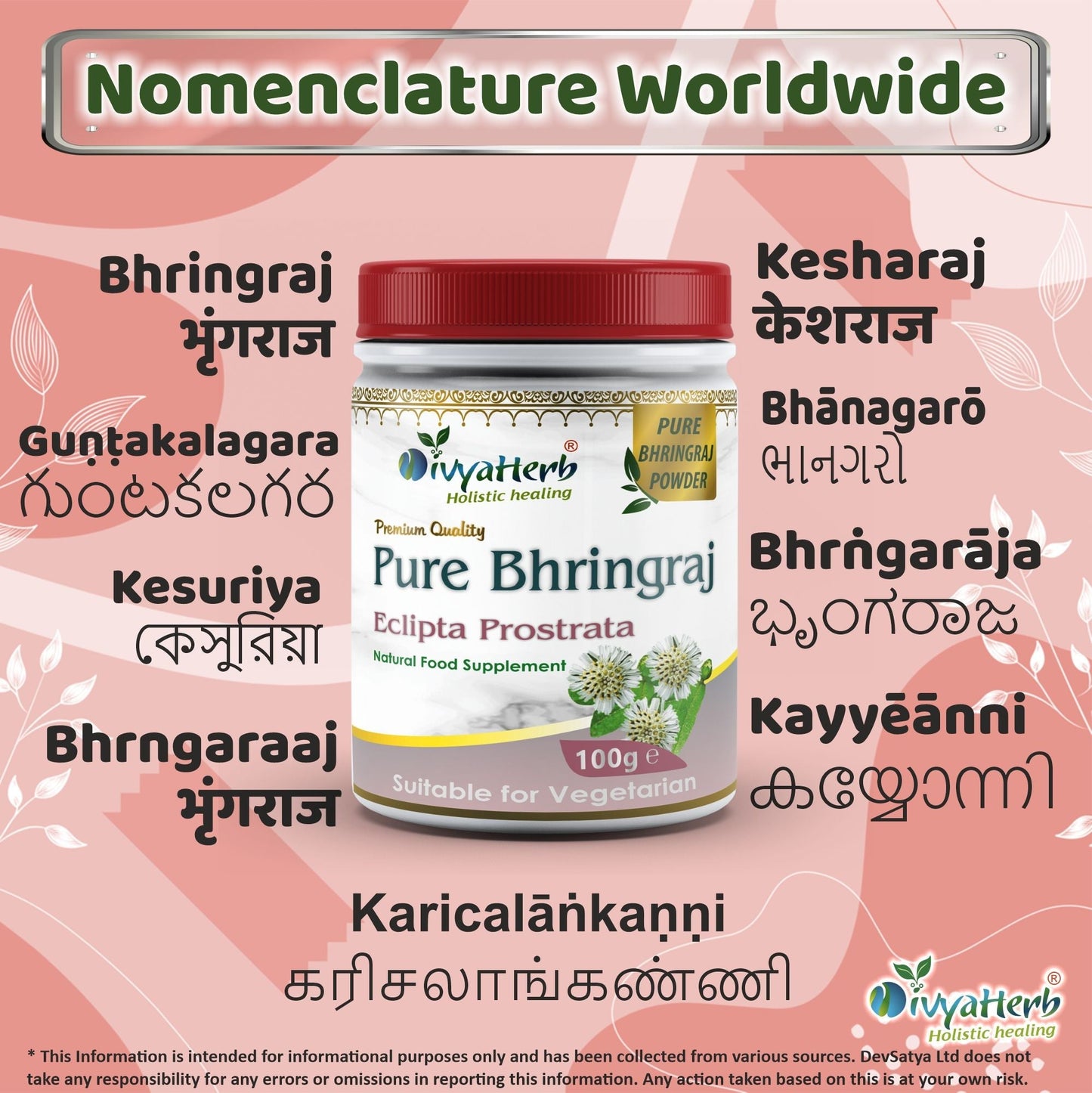 DivyaHerb Bhringraj Powder 100 gram - Hair & Scalp Support