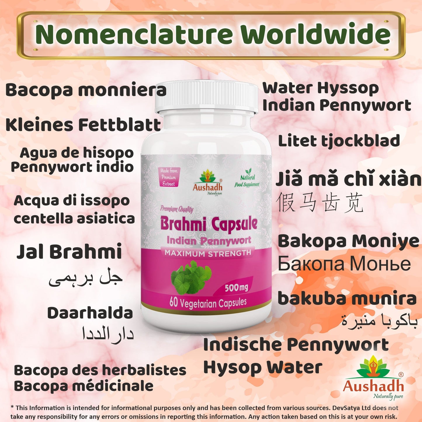 Aushadh Brahmi Capsules (Bacopa, Water Hyssop) Memory & Focus Support - Vegan, Gluten Free, Non-GMO, 60 Capsules