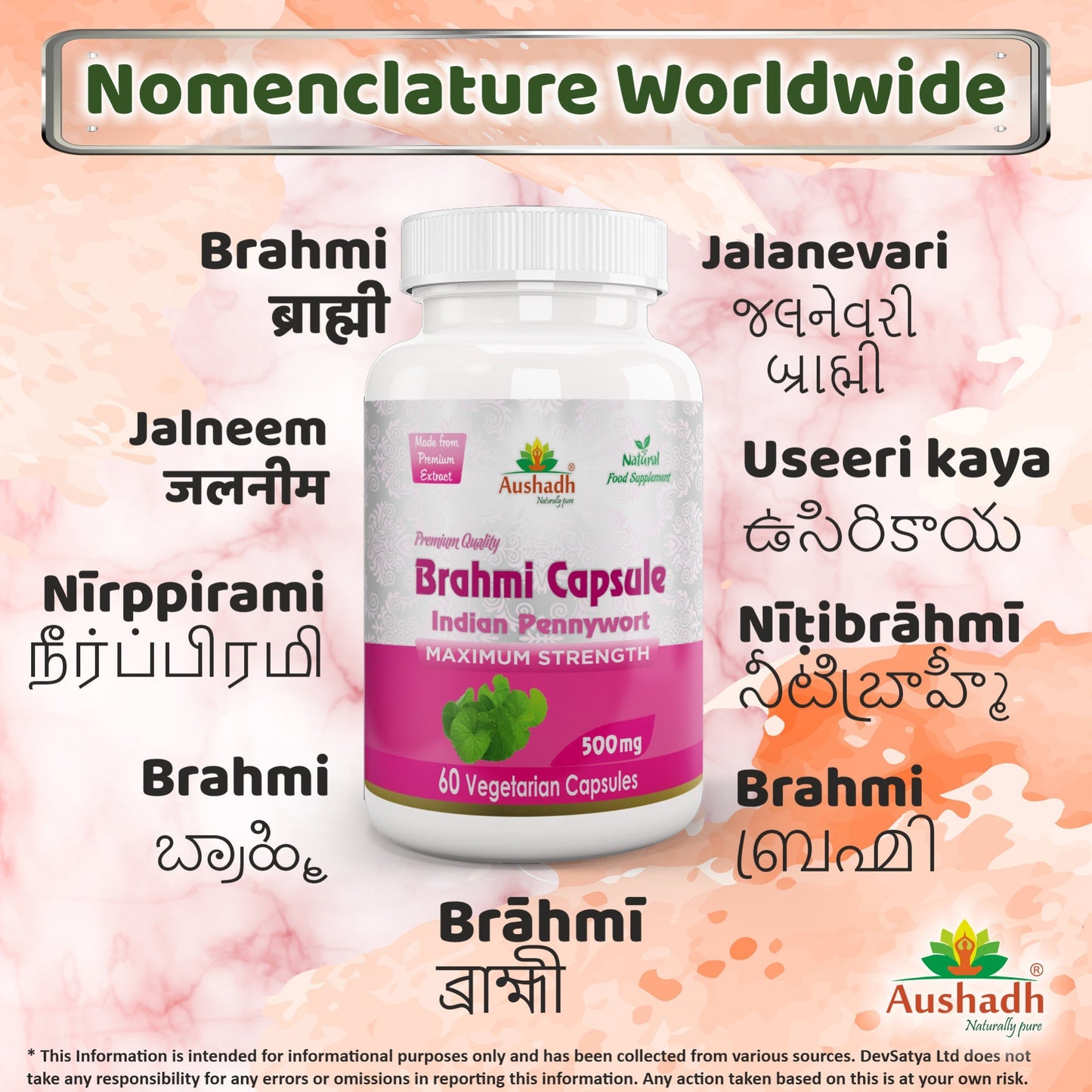 Aushadh Brahmi Capsules (Bacopa, Water Hyssop) Memory & Focus Support - Vegan, Gluten Free, Non-GMO, 60 Capsules