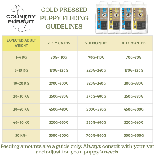 Country Pursuit Cold Pressed Ocean Fish & Sweet Potato - 200g Sample