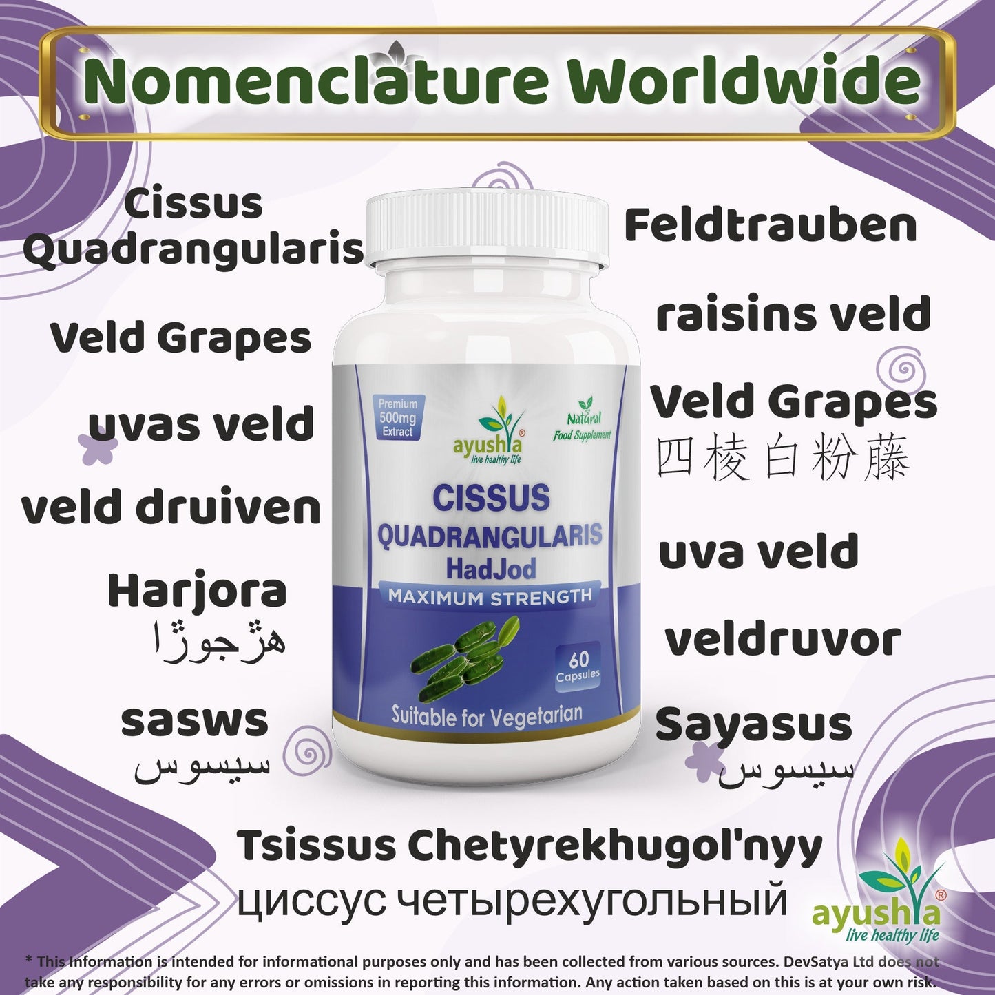 Ayushya Cissus Quadrangularis Capsules (Hadjod, Bone Setter) Joint & Bone Support - Vegan, Gluten Free, Non-GMO, 60 Capsules