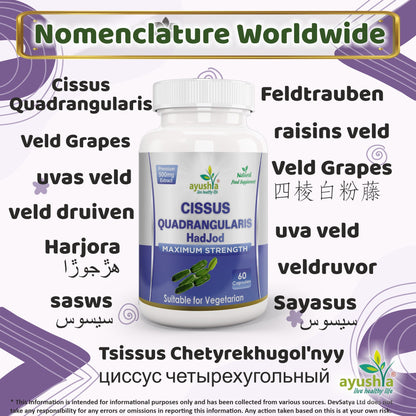 Ayushya Cissus Quadrangularis Capsules (Hadjod, Bone Setter) Joint & Bone Support - Vegan, Gluten Free, Non-GMO, 60 Capsules