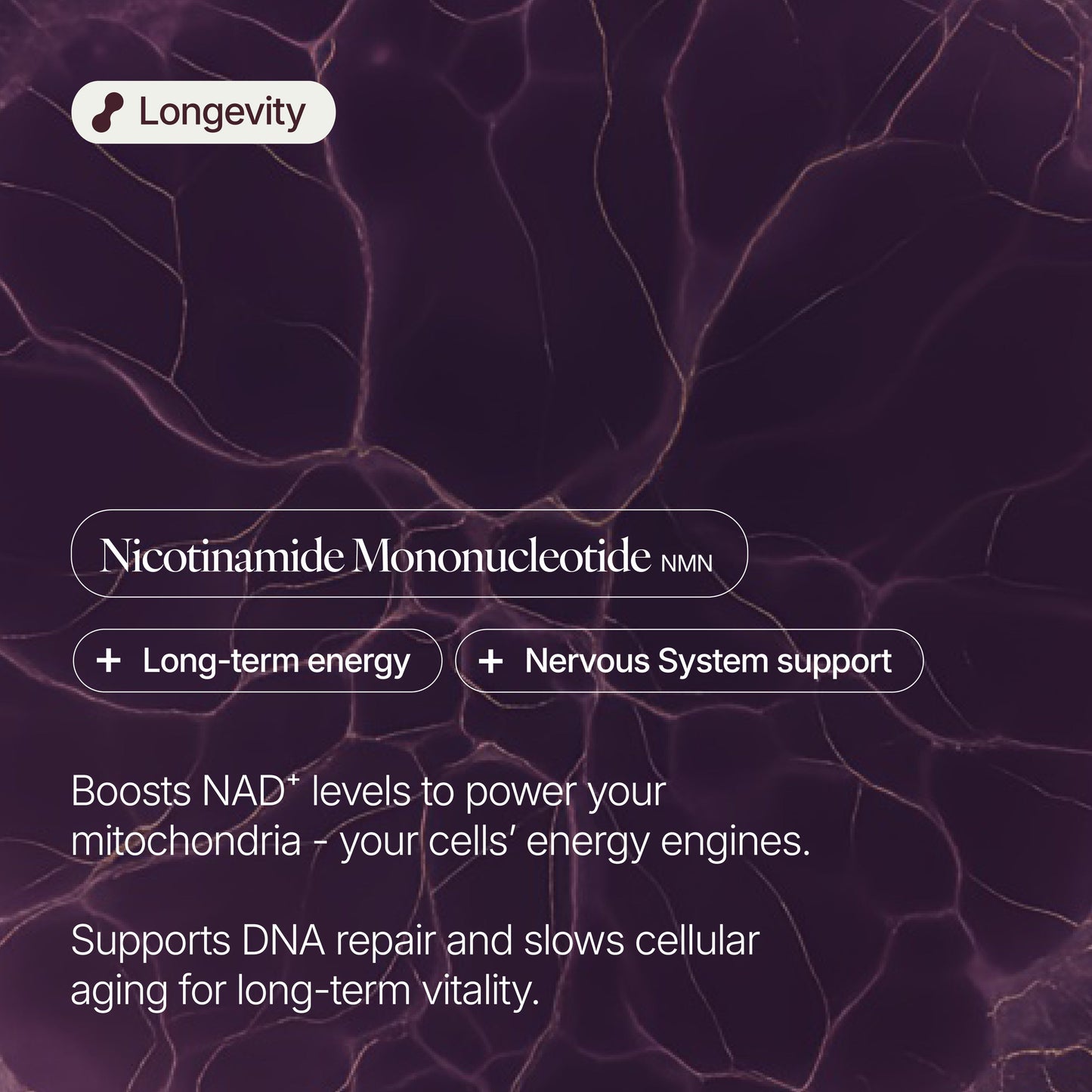 Verve NMN (Nicotinamide Mononucleotide)