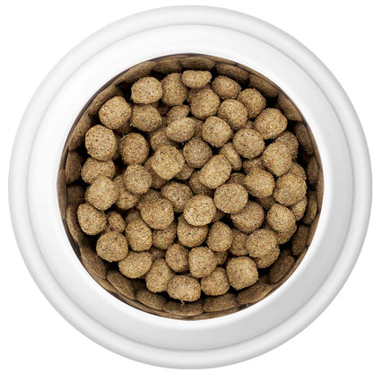 Country Pursuit Maintenance Lifestyle Adult Dog Food 3kg